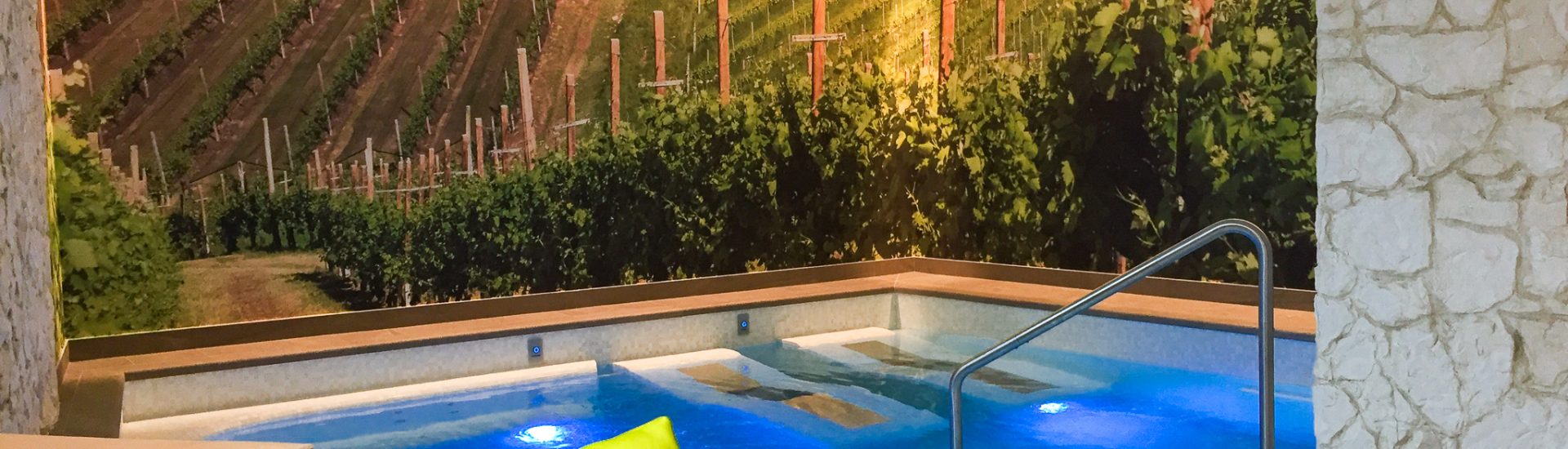 LA VIGNA SPA-4